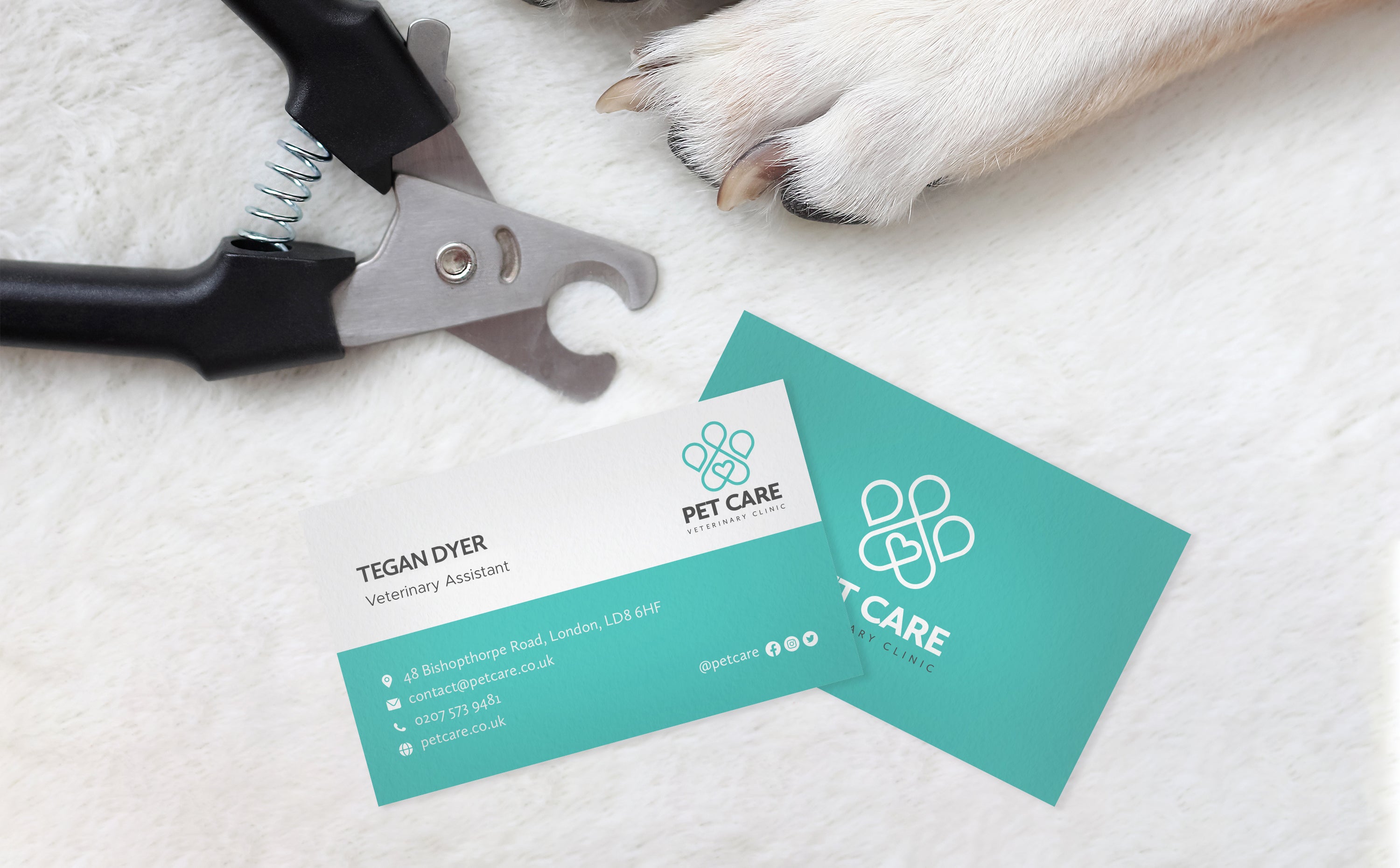 Budget Business Cards
